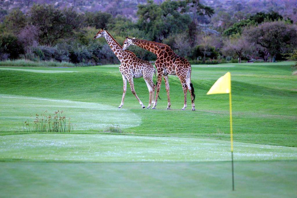 Royal Game Guest House Phalaborwa Eksteriør billede